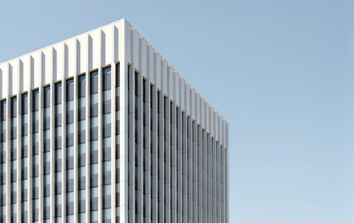 Molly Ivo Digital Professional Context